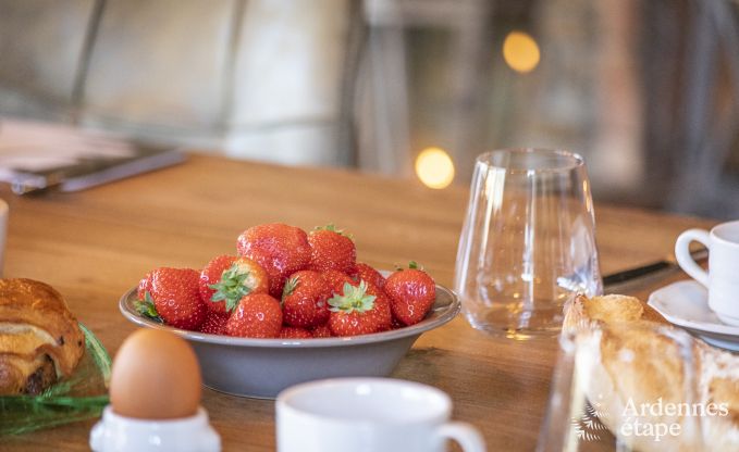 Maison de vacances � Vresse-sur-Semois pour 15 personnes en Ardenne