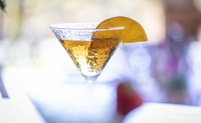 Maison de vacances � Vresse-sur-Semois pour 15 personnes en Ardenne