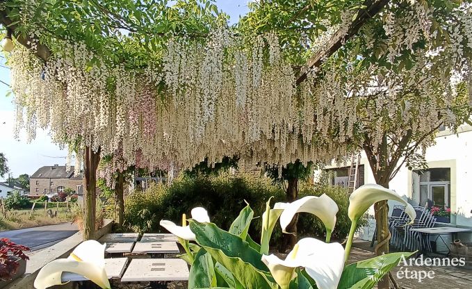 Maison de vacances � Bi�vre pour 10 personnes en Ardenne