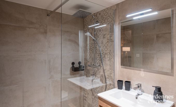 Villa de Luxe  Vresse-sur-Semois pour 14 personnes en Ardenne