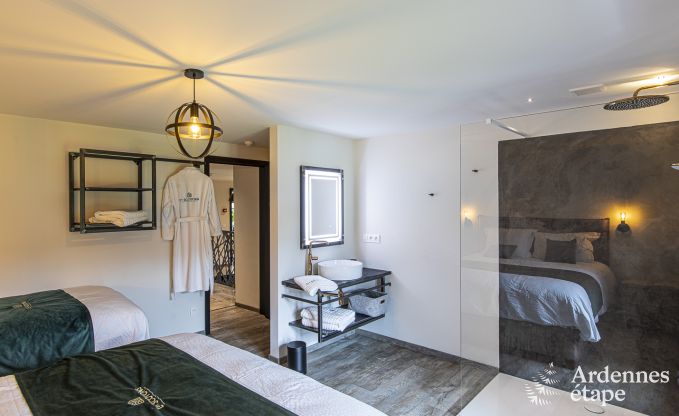 Villa de Luxe  Vresse-sur-semois pour 15 personnes en Ardenne