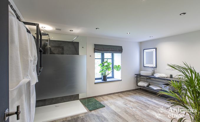 Villa de Luxe  Vresse-sur-semois pour 15 personnes en Ardenne