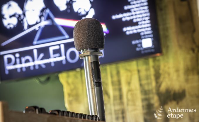 Villa de Luxe  Vresse-sur-semois pour 15 personnes en Ardenne