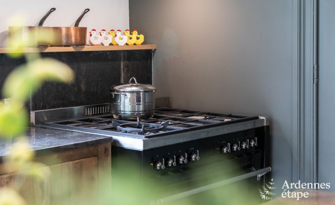 Maison de vacances  Vresse-sur-semois pour 8 personnes en Ardenne