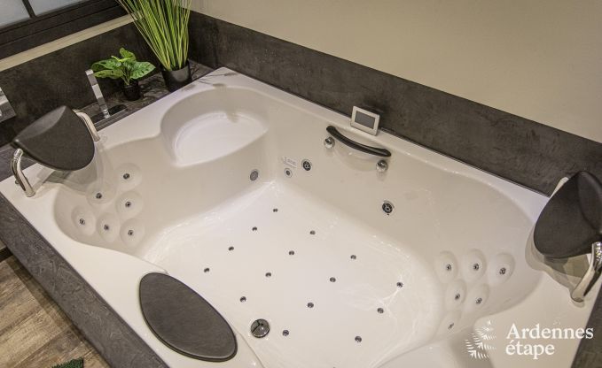 Villa de Luxe � Vresse-sur-semois pour 15 personnes en Ardenne