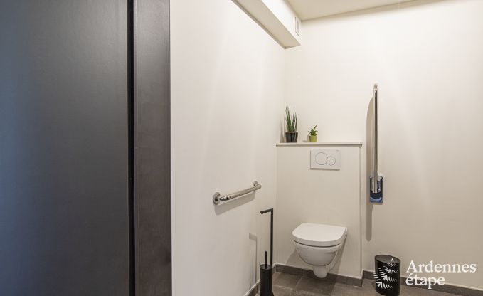 Villa de Luxe � Vresse-sur-semois pour 15 personnes en Ardenne