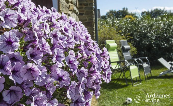 Maison de vacances � Waimes pour 9 personnes en Ardenne