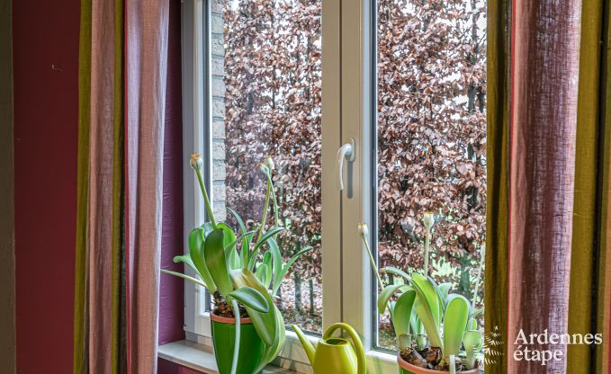 Maison de vacances  Waimes pour 24 personnes en Ardenne