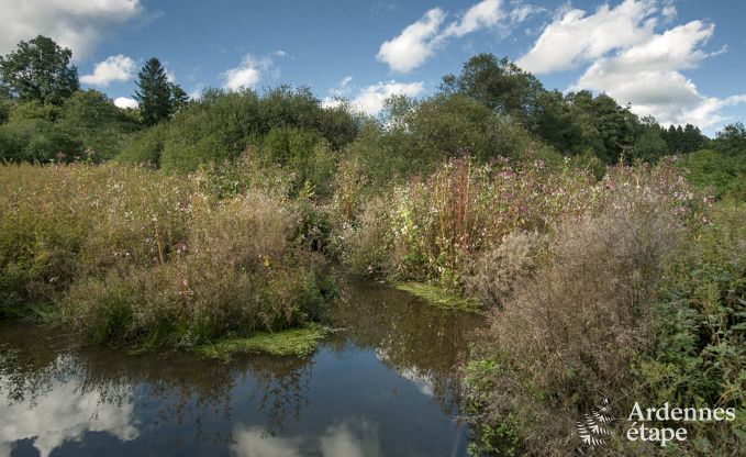 Maison de vacances � Waimes pour 14 personnes en Ardenne