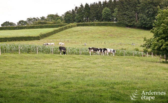 Maison de vacances � Waimes pour 24 personnes en Ardenne