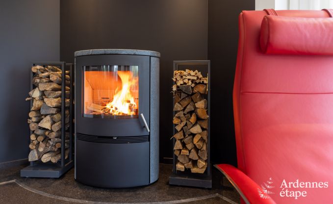 Villa de Luxe  Waimes pour 14 personnes en Ardenne