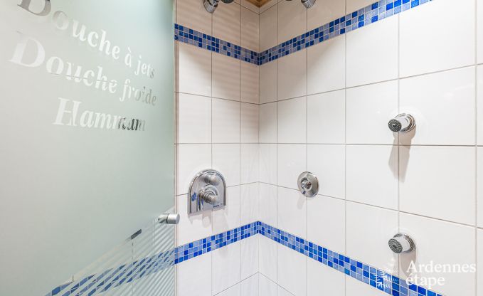 Villa de Luxe  Waimes pour 14 personnes en Ardenne