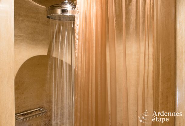 Chalet  Waimes pour 14 personnes en Ardenne