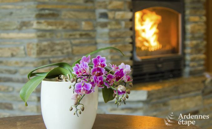 Maison de vacances � Waimes pour 16/18 personnes en Ardenne