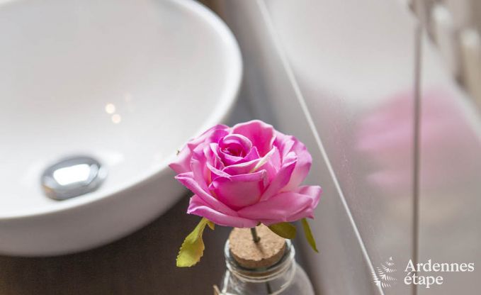 Maison de vacances  Waimes pour 21/23 personnes en Ardenne