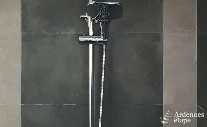 Maison de vacances  Waimes pour 9 personnes en Ardenne