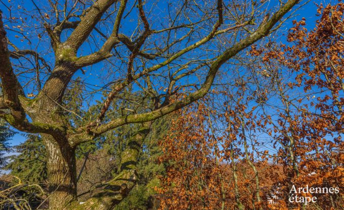 Maison de vacances � Waimes pour 12/14 personnes en Ardenne