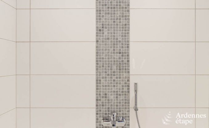 Villa de Luxe  Waimes pour 14 personnes en Ardenne