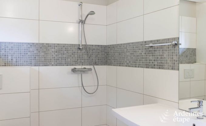 Villa de Luxe  Waimes pour 14 personnes en Ardenne