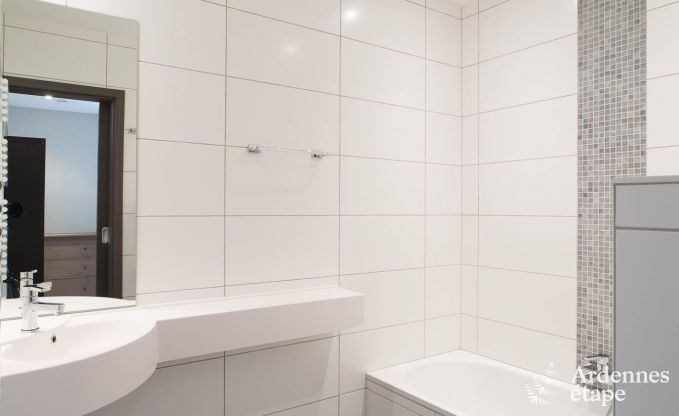 Villa de Luxe  Waimes pour 14 personnes en Ardenne