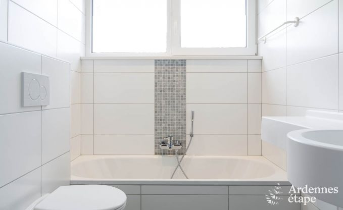 Villa de Luxe  Waimes pour 14 personnes en Ardenne