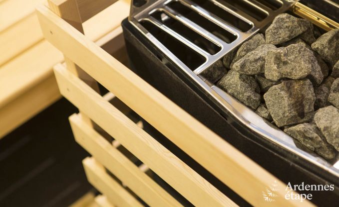 Villa de Luxe  Waimes pour 14 personnes en Ardenne