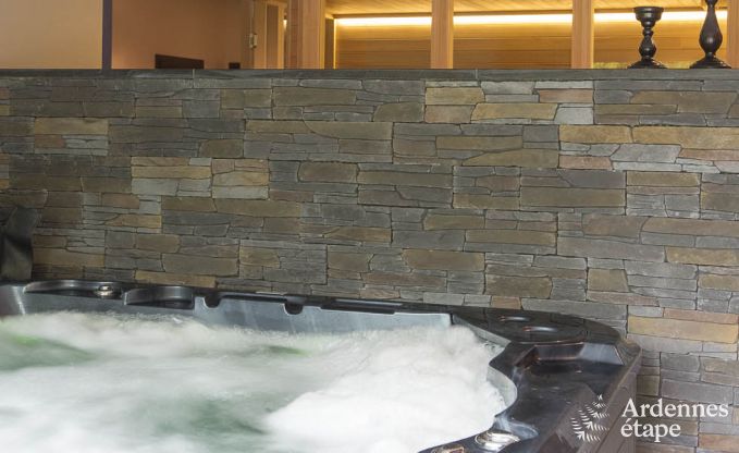 Villa de Luxe  Waimes pour 14 personnes en Ardenne