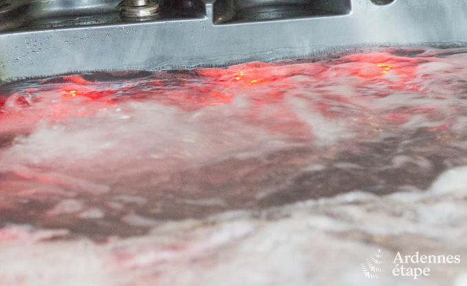 Villa de Luxe  Waimes pour 14 personnes en Ardenne