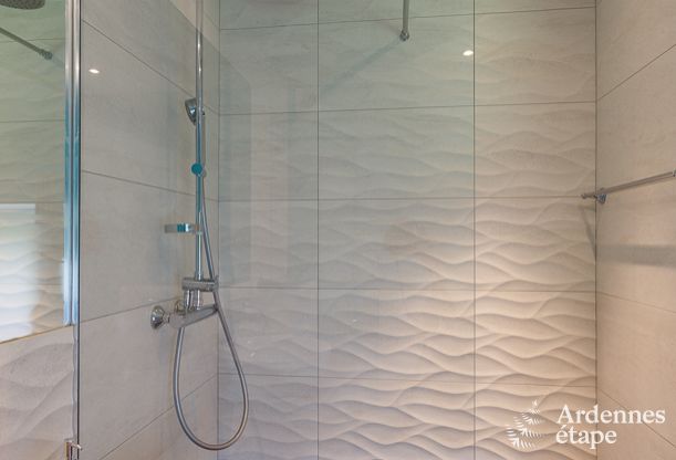 Villa de Luxe � Waimes pour 12 personnes en Ardenne