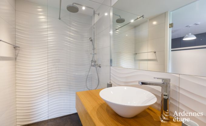 Villa de Luxe � Waimes pour 12 personnes en Ardenne