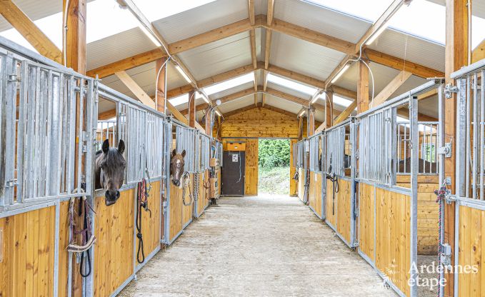 Maison de vacances spacieuse  Walcourt, Ardenne, 5 chambres, 5 salles de bain, piscine et quipements familiaux pour 10 personnes