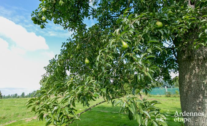 Maison de vacances � Waremme pour 9 personnes en Ardenne