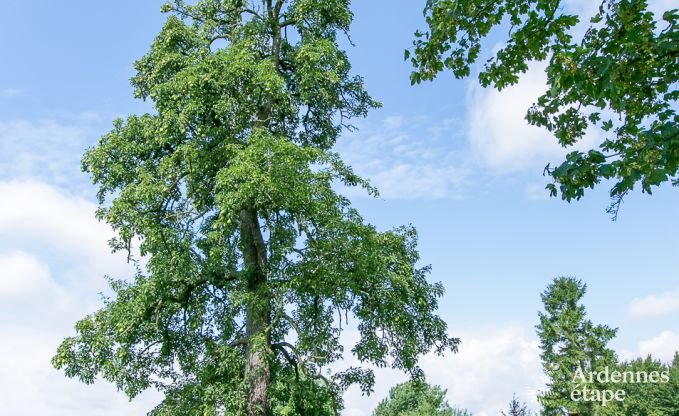 Maison de vacances � Waremme pour 9 personnes en Ardenne