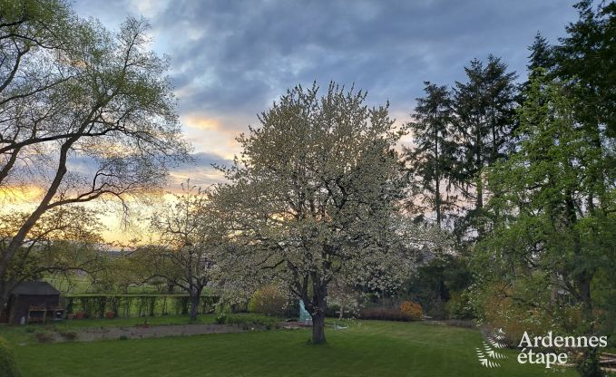 Gite de charme � Wellin pour 12 personnes en Ardenne