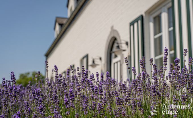 Maison de vacances � Wellin pour 14 personnes en Ardenne