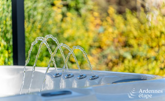 Maisonnette luxueuse et romantique  Wellin, Ardenne