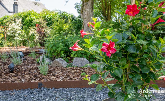 Maison de vacances  Wellin pour 10 personnes en Ardenne