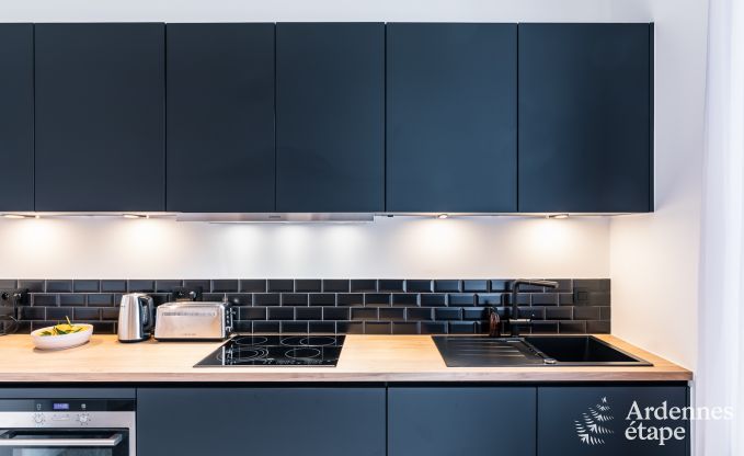 Villa de Luxe � W�pion pour 15 personnes en Ardenne