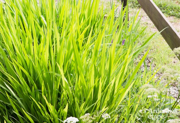 Maison de vacances � Xhoffraix pour 16 personnes en Ardenne