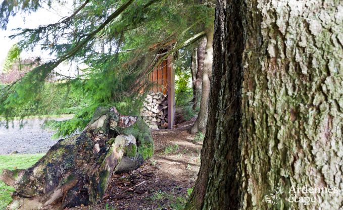 Maison de vacances  Xhoffraix pour 10 personnes en Ardenne