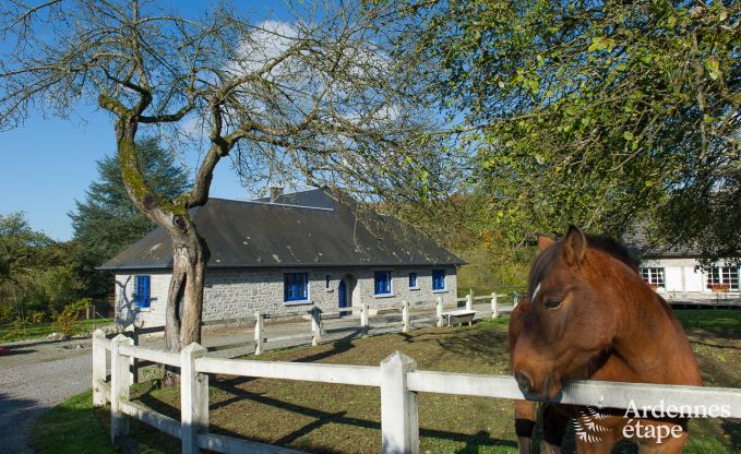 Maison de vacances � Yvoir (Crupet) pour 14 personnes en Ardenne