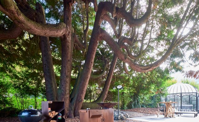 Villa de vacances de luxe sur la Meuse � Yvoir, Ardenne