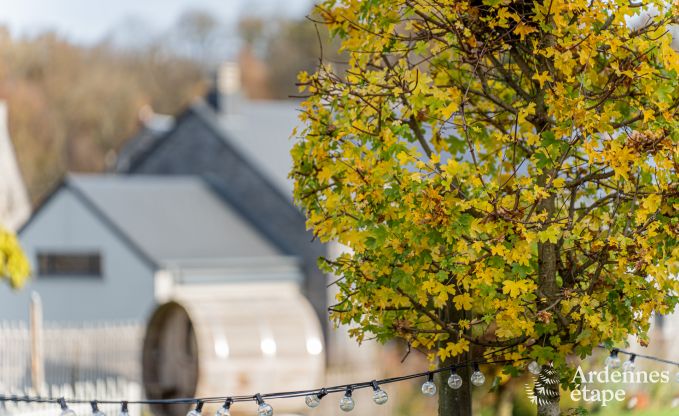 Maison de vacances  Yvoir pour 8 personnes en Ardenne