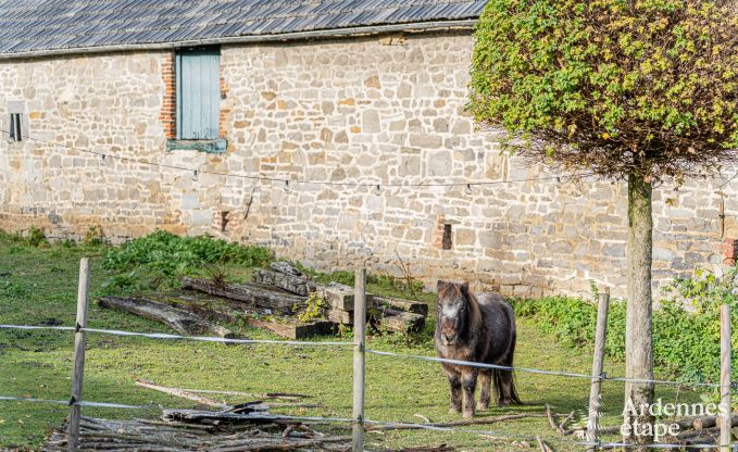 Maison de vacances  Yvoir pour 8 personnes en Ardenne