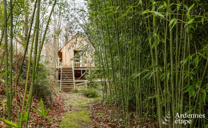 Maison de vacances unique et cosy pour 2  Yvoir, Ardenne