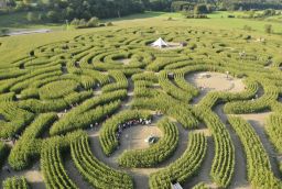 Labyrinthe à Province du Luxembourg