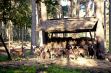 Les parcs animaliers dans les Ardennes - 26