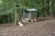 Les parcs animaliers dans les Ardennes - 35
